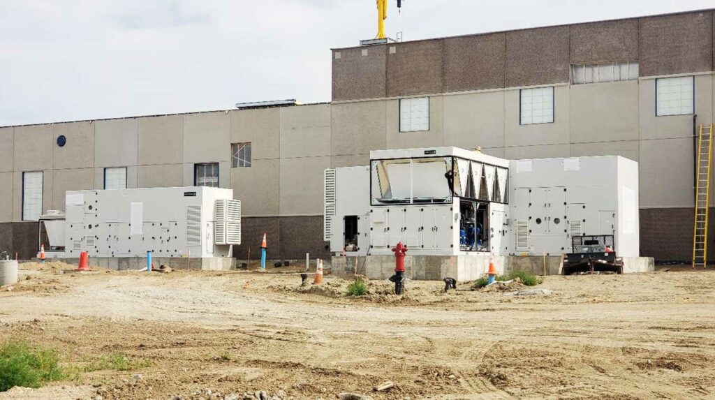 mowbray-son-portfolio-10-BRANDON-MEIGS-BIOTA-TREATMENT-1